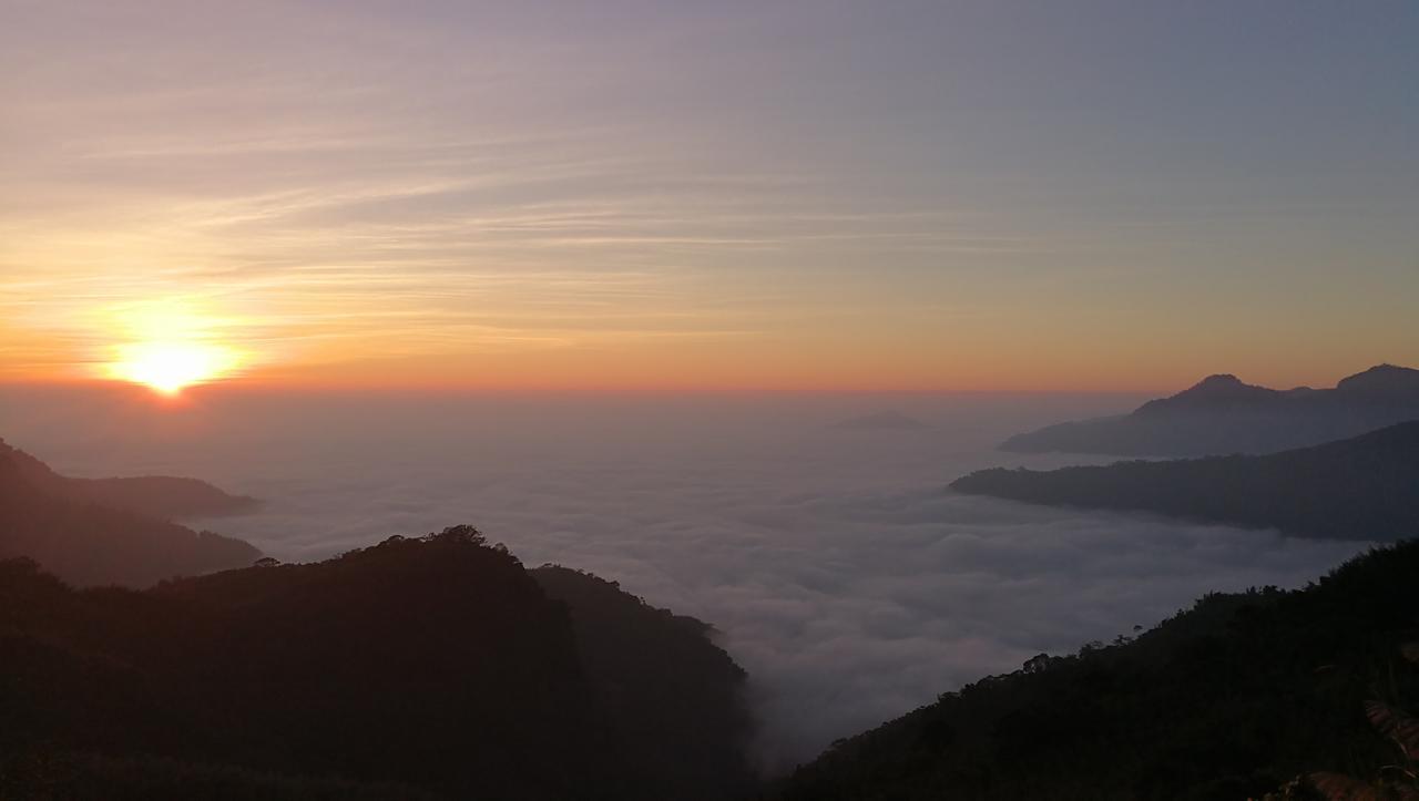 Alishan Tea Homestay Leye Exterior foto
