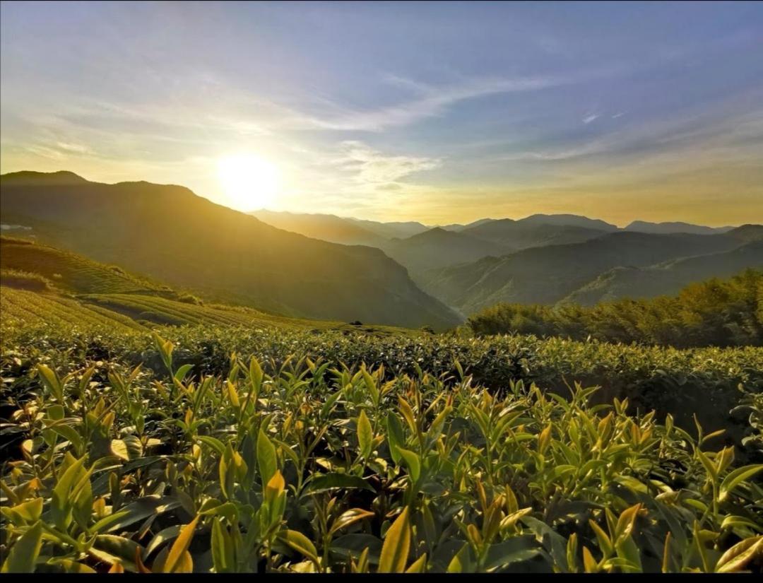 Alishan Tea Homestay Leye Exterior foto